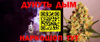 гашик Кулебаки