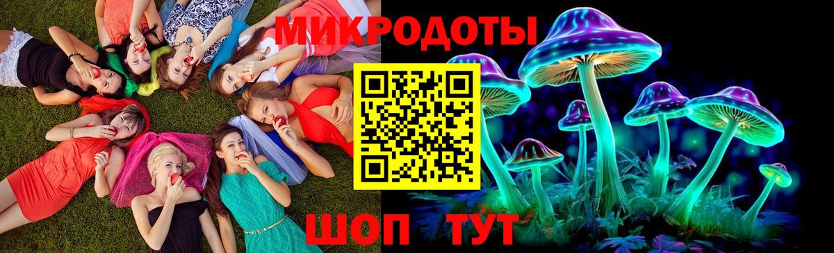 Галлюциногенные грибы Psilocybine cubensis  Вход с VPN  Псилоцибиновые грибы мицелий  Железногорск 